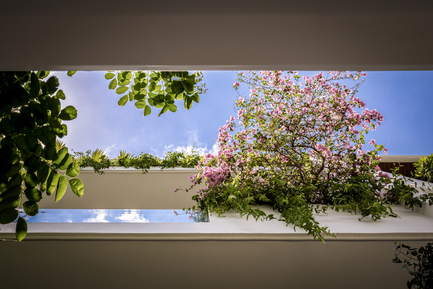 Một phòng tập thể dục nhỏ mở ra khu vườn trên sân thượng, nơi có thể quan sát ánh sáng mặt trời xuyên qua những tán cây vào buổi sáng.