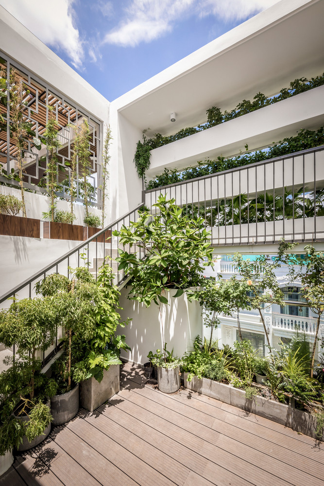 Hai khu vườn nhỏ ở giữa và sau tầng trệt là khoảng xanh cho ngôi nhà.