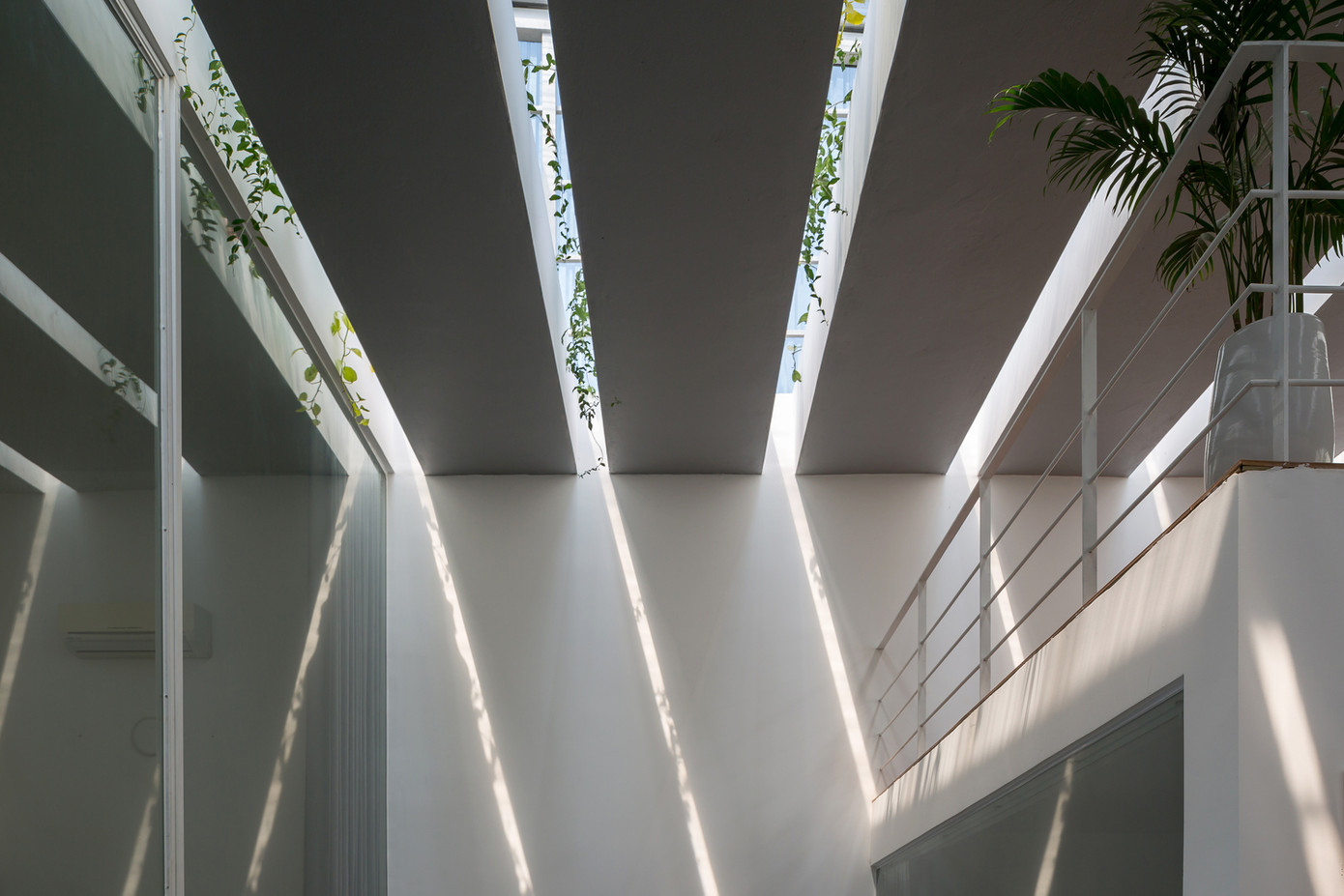 Con người và thiên nhiên hòa làm một và sống cùng nhau, mặc cho những công trình khác dần lấp đầy không gian xanh bên ngoài.