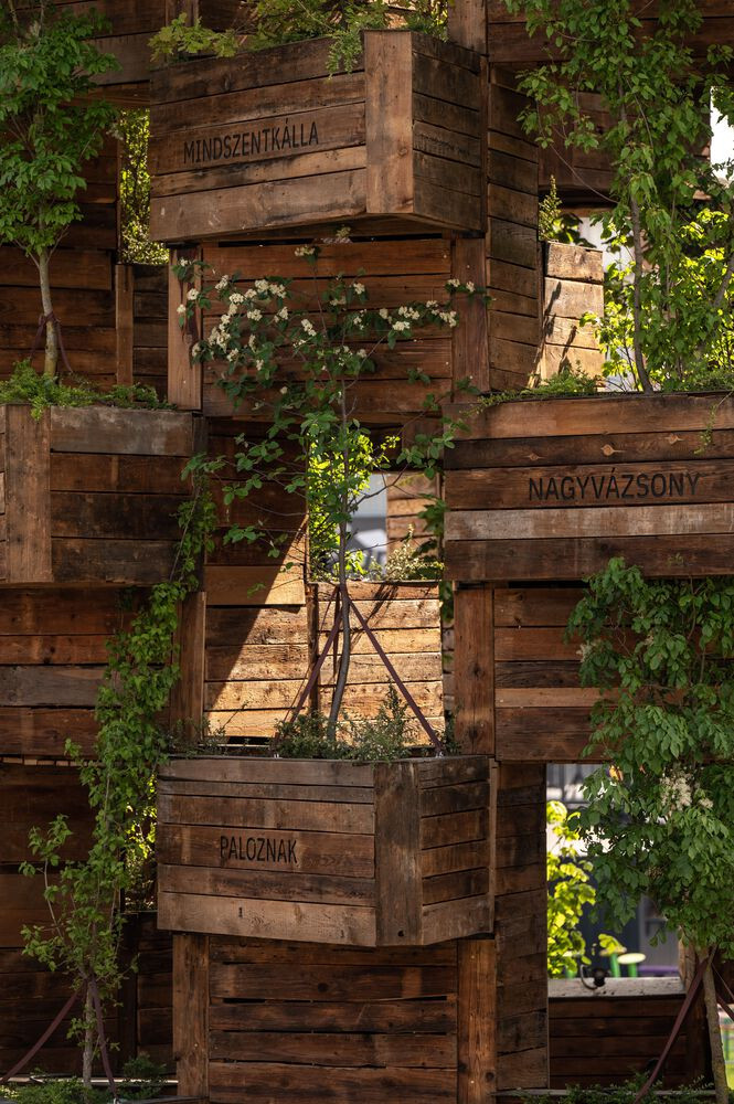 Đội ngũ sáng tạo đã thiết kế một hộp trồng cây độc đáo, với tên của các thành phố tham gia chương trình ở bên cạnh.