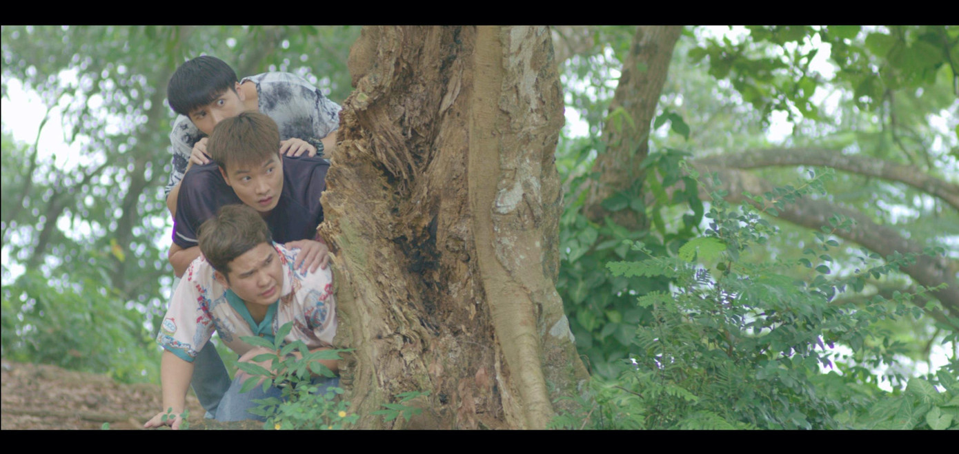 "Lối về miền hoa" nối sóng "Thương ngày nắng về".