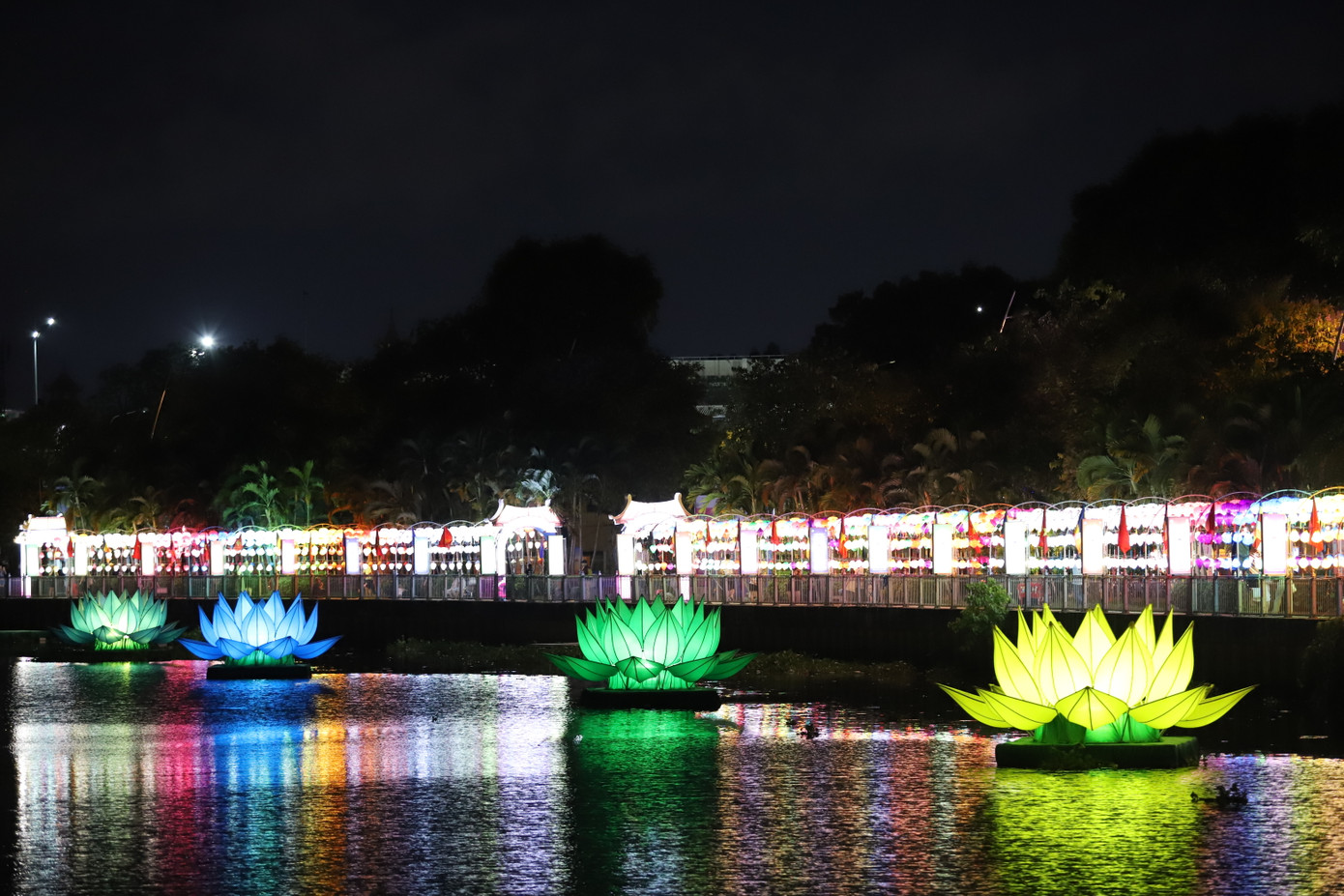 Hình ảnh 7 đóa sen rực rỡ sắc màu cùng khoảng 3.000 chiếc đèn lồng treo dọc bờ kênh tạo nên điểm nhấn đẹp cho một góc phố.