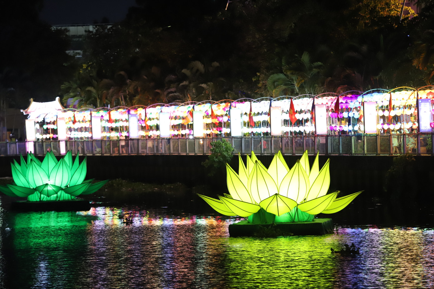 Hình ảnh 7 đóa sen rực rỡ sắc màu cùng khoảng 3.000 chiếc đèn lồng treo dọc bờ kênh tạo nên điểm nhấn đẹp cho một góc phố.