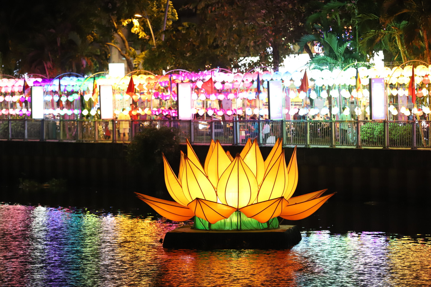 Hình ảnh 7 đóa sen rực rỡ sắc màu cùng khoảng 3.000 chiếc đèn lồng treo dọc bờ kênh tạo nên điểm nhấn đẹp cho một góc phố.
