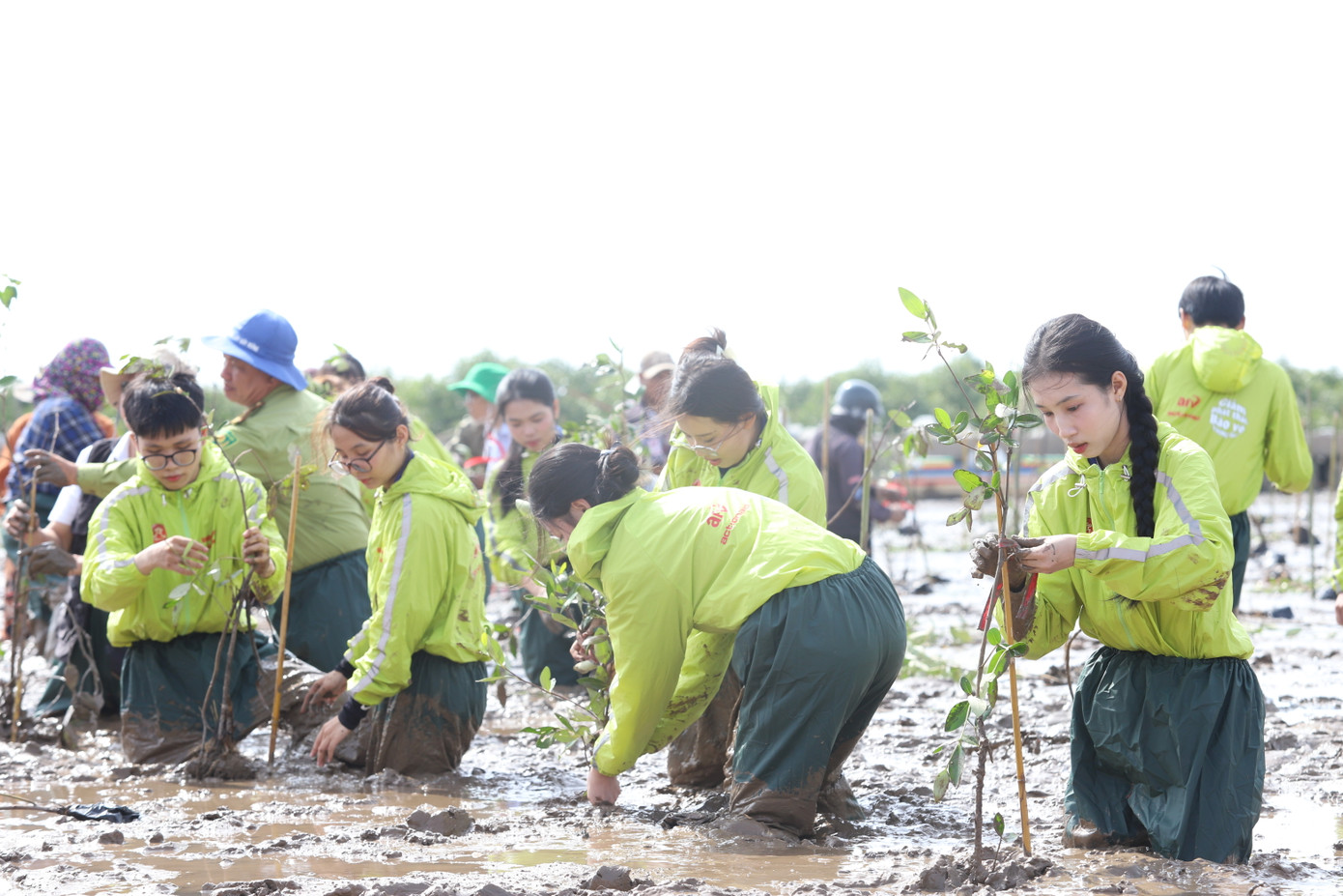 Chung tay trong hoạt động ý nghĩa này có nhiều bạn sinh viên ngành Báo chí của Trường Đại học Cần Thơ. Chung tay trong hoạt động ý nghĩa này có nhiều bạn sinh viên ngành Báo chí của Trường Đại học Cần Thơ.