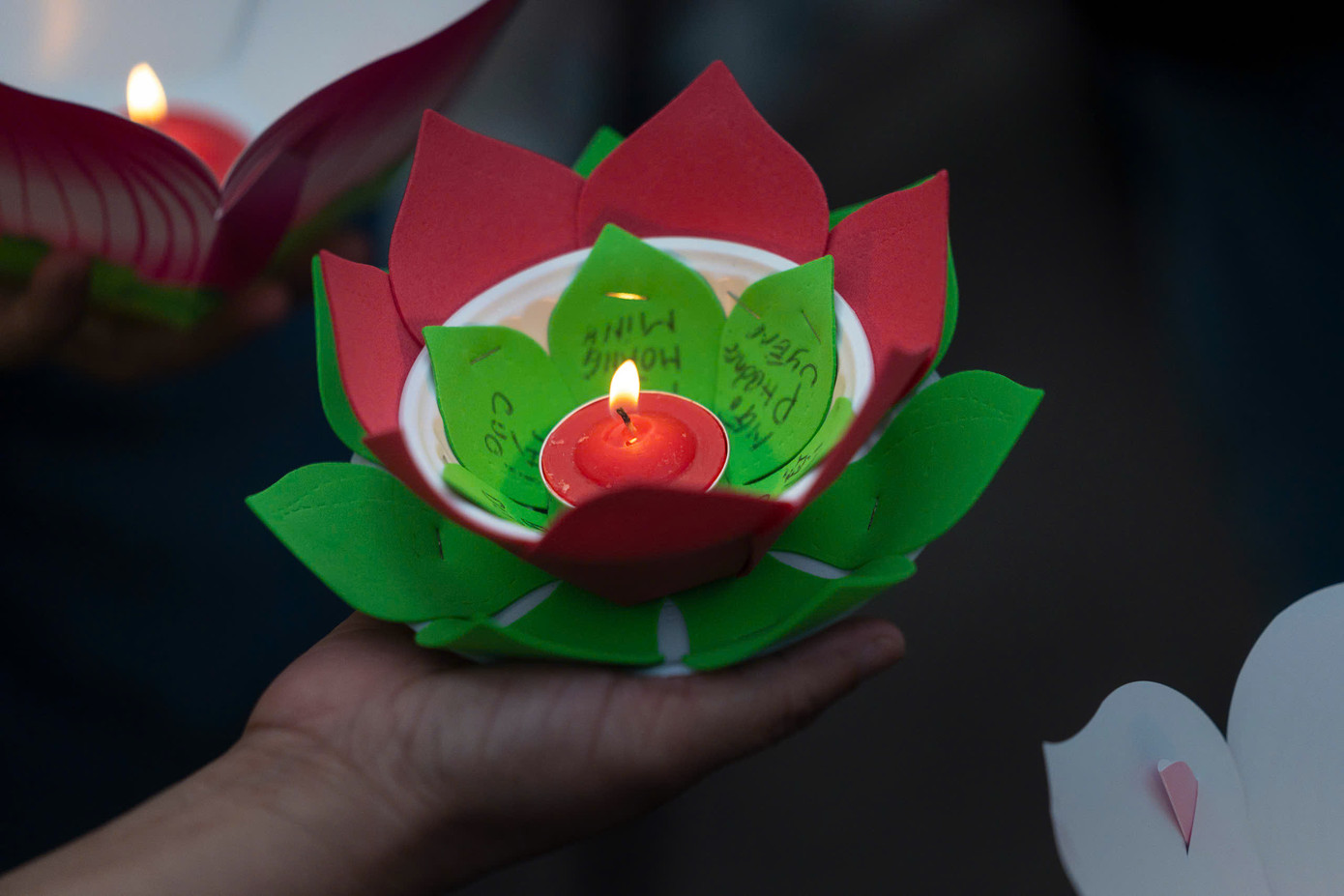 Dịp lễ Phật đản năm nay, chùa Pháp Hoa chuẩn bị khoảng 6.000 đèn hoa và gửi tặng miễn phí cho người dân đến tham gia lễ hội hoa đăng.