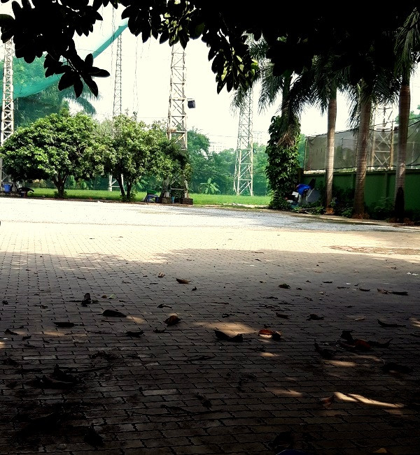 Giải tỏa bãi xe “mọc” trái phép trên đất quy hoạch trồng cây xanh ảnh 1