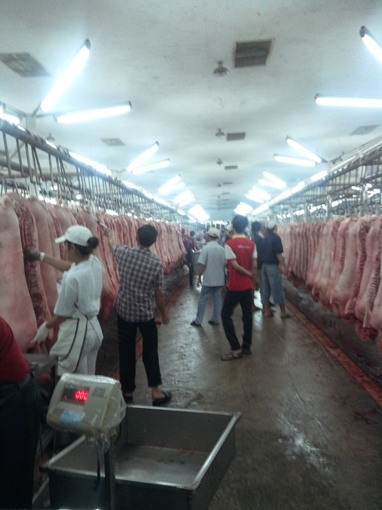 Chợ đầu mối Hóc Môn hiện cung ứng từ 50% - 55% sản lượng thịt heo cho toàn thành phố