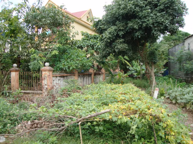 Nhà của ông Chất có một phần đất đã nhận tiền đền bù nhưng không chịu bàn giao mặt bằng