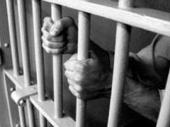 Ảnh: minh họa - Internet