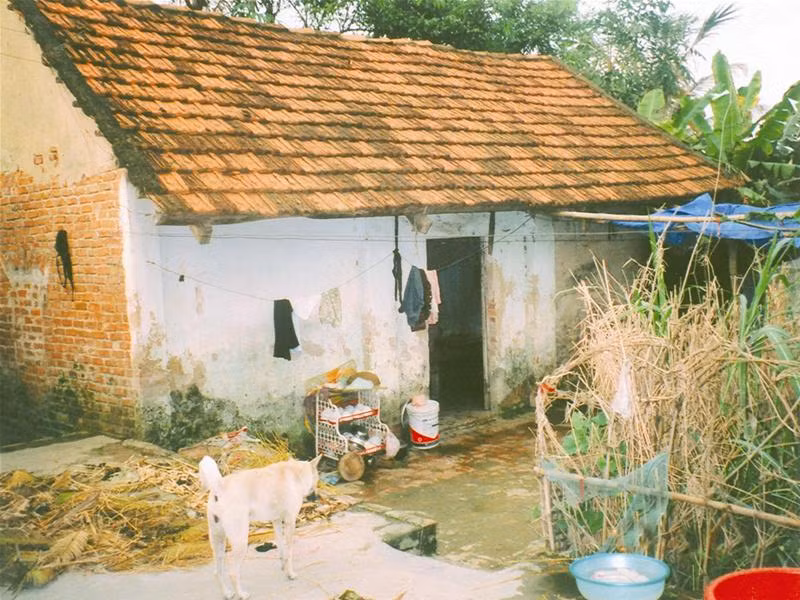 Ngôi nhà của bà còng dựng cách đây gần 35 năm, nơi mẹ con H trở về sinh sống sau khi bị con ông Thị đuổi khỏi nhà ở Na Hang. Ảnh: Đỗ Hà Ngôi nhà của bà còng dựng cách đây gần 35 năm, nơi mẹ con H trở về sinh sống sau khi bị con ông Thị đuổi khỏi nhà ở Na Hang. Ảnh: Đỗ Hà
