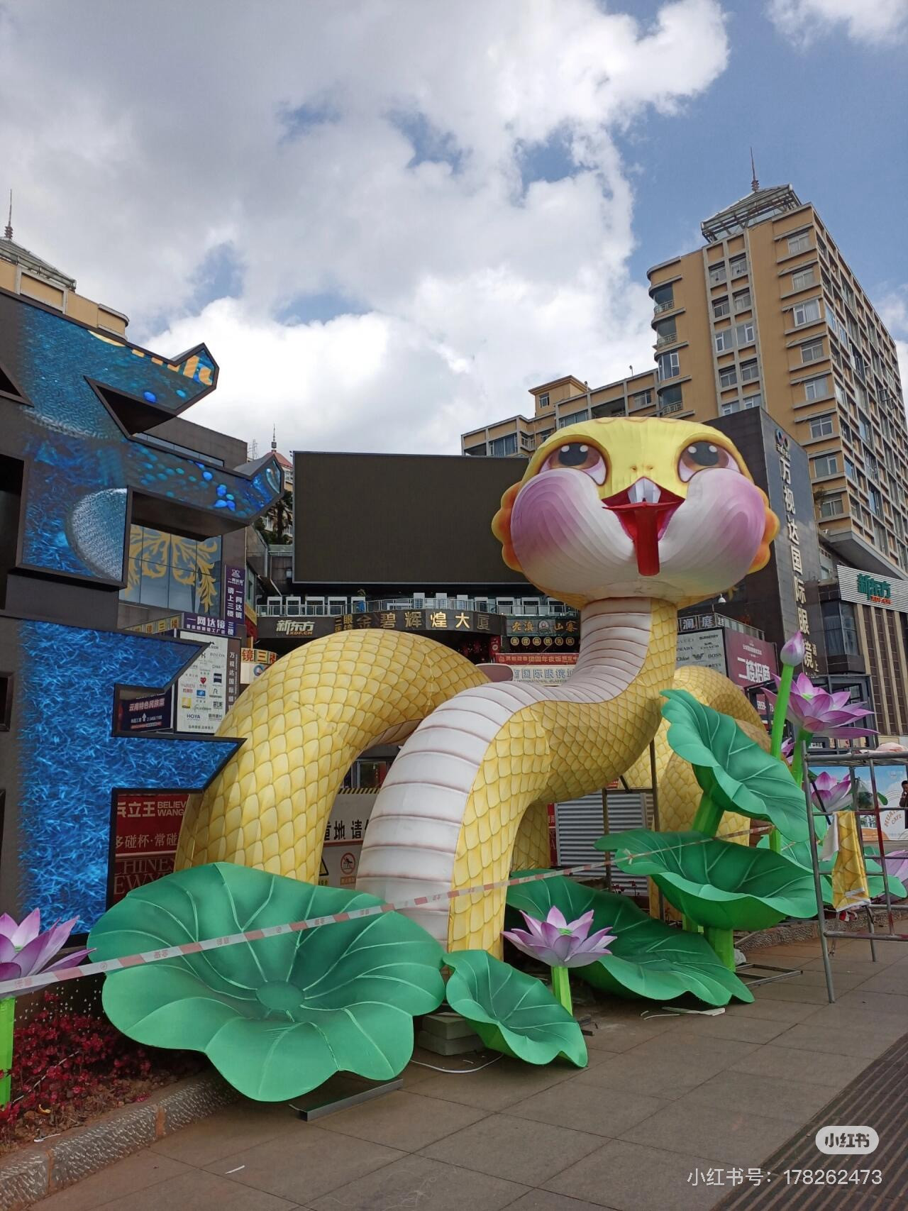 Ảnh: Xiaohongshu Ảnh: Xiaohongshu