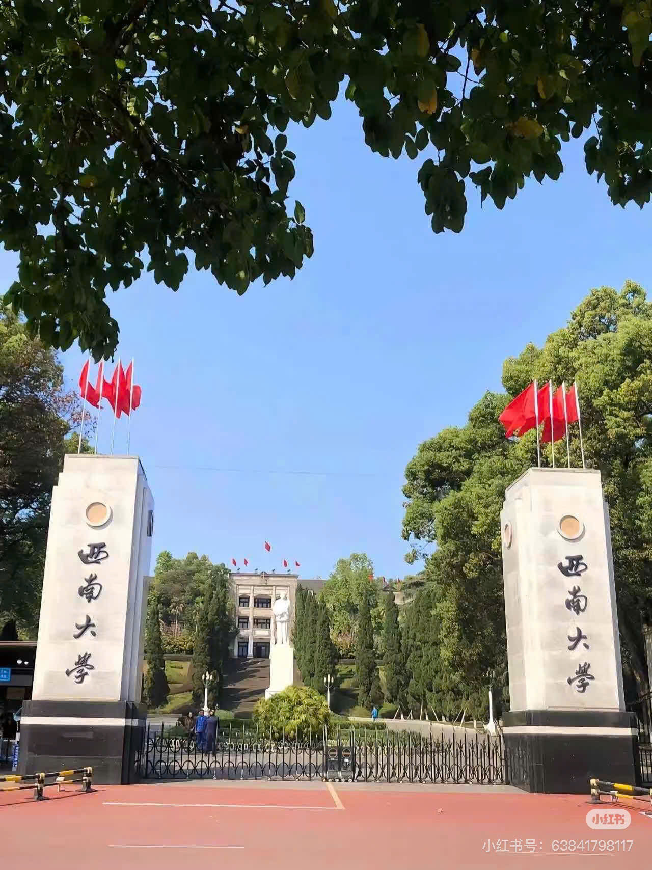 Sinh viên trường "vỡ òa" khi phát hiện từng học chung với nữ chính Ôn Dĩ Phàm. Ảnh: Xiaohongshu Sinh viên trường "vỡ òa" khi phát hiện từng học chung với nữ chính Ôn Dĩ Phàm. Ảnh: Xiaohongshu