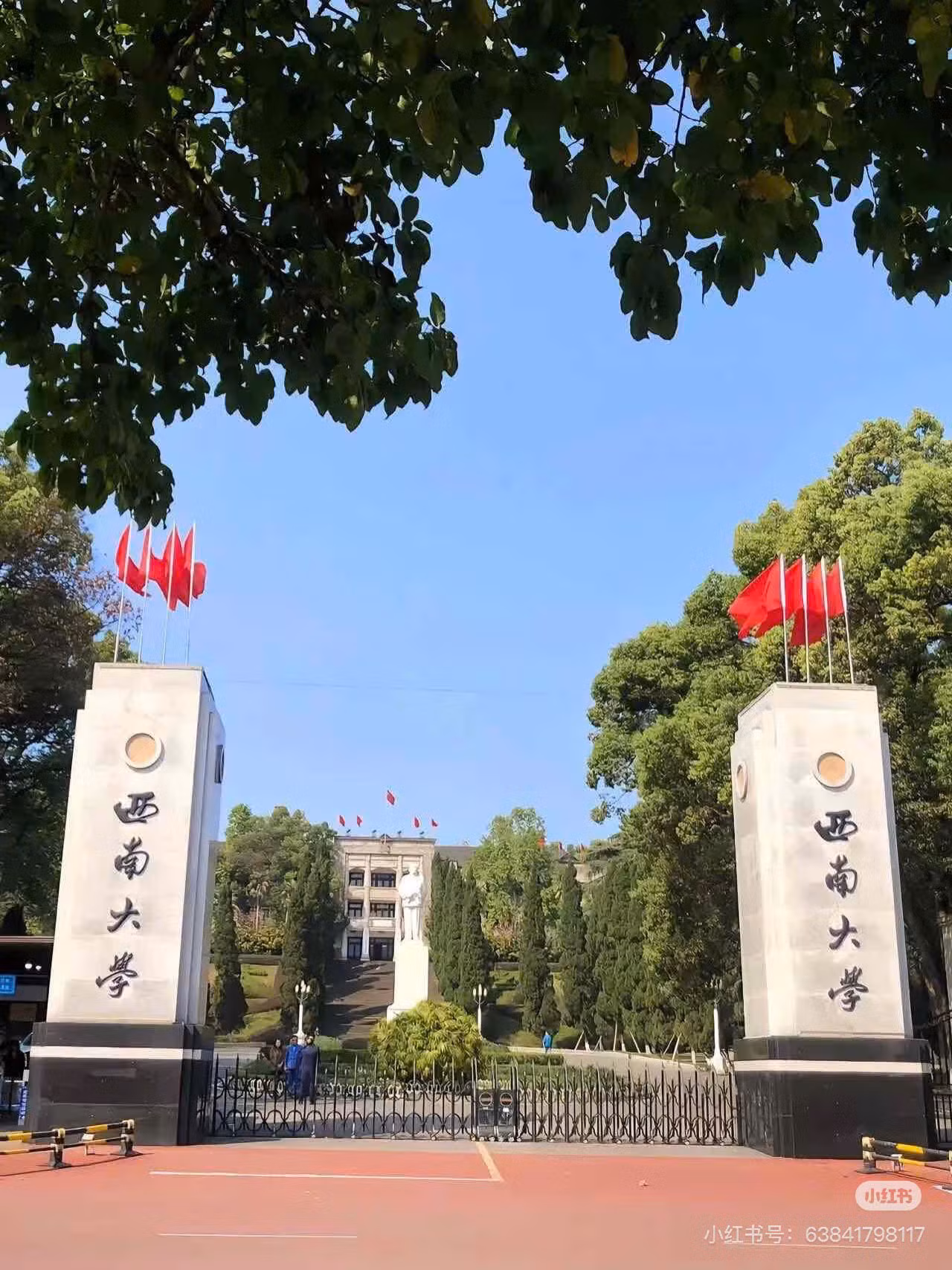 Sinh viên trường "vỡ òa" khi phát hiện từng học chung với nữ chính Ôn Dĩ Phàm. Ảnh: Xiaohongshu