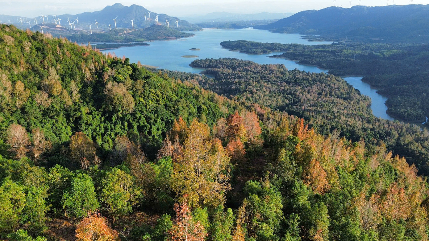 &quot;Đà Lạt thu nhỏ&quot; ở Quảng Trị - 1 ngày có 4 mùa. Ảnh: Internet