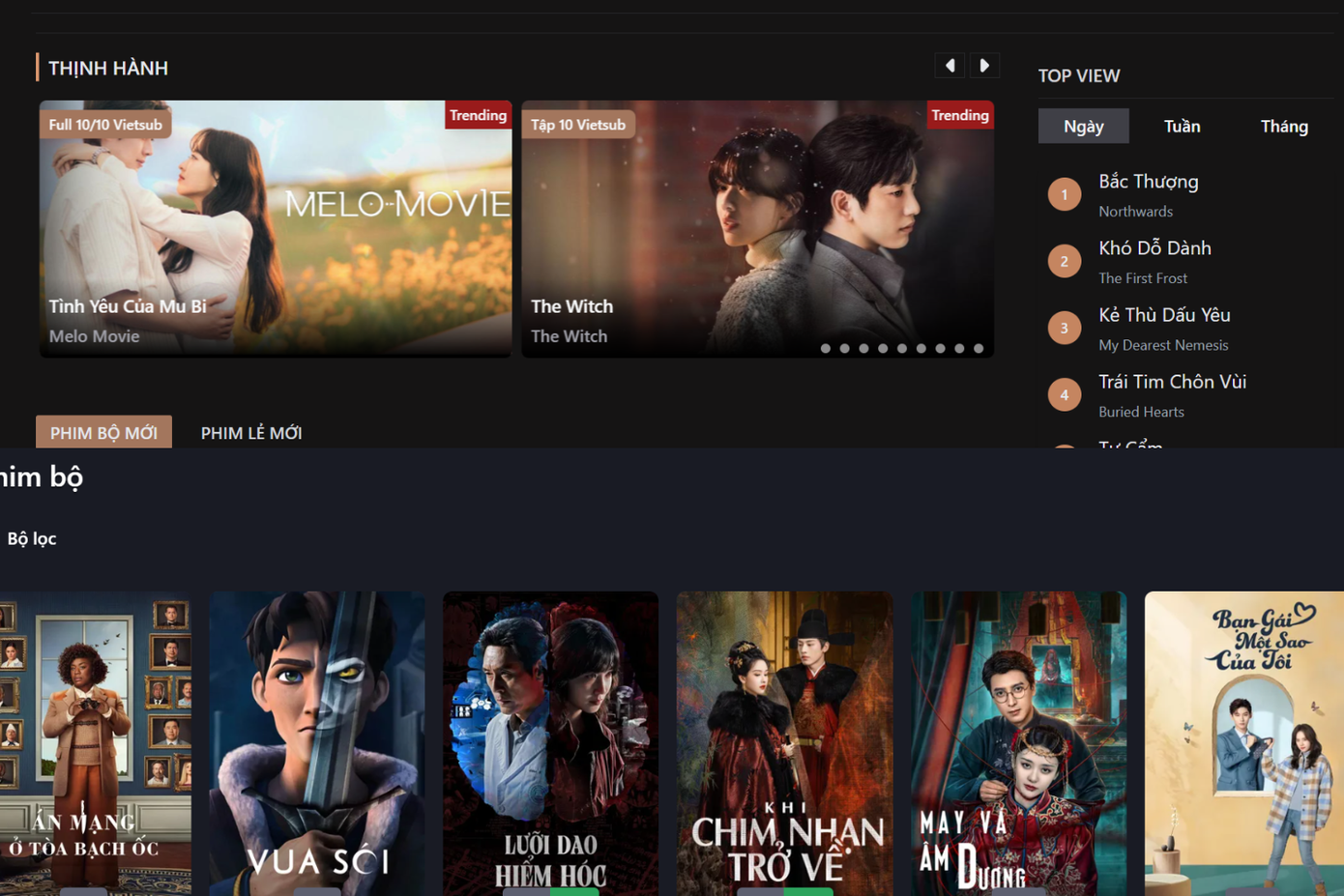 Giao diện của một nền tảng phim không chính thống.