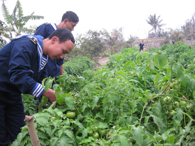 Các chiến sĩ tăng gia sản xuất