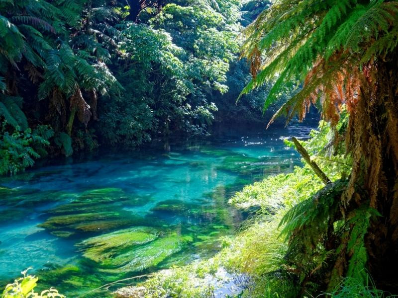 New Zealand thuộc châu lục nào?