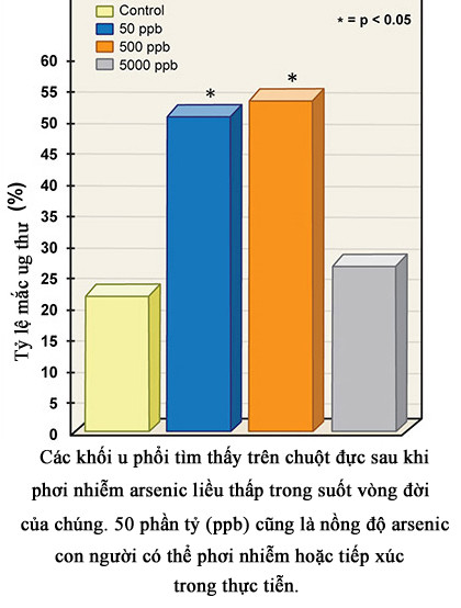 Hoá giải lời nguyền arsenic ảnh 2