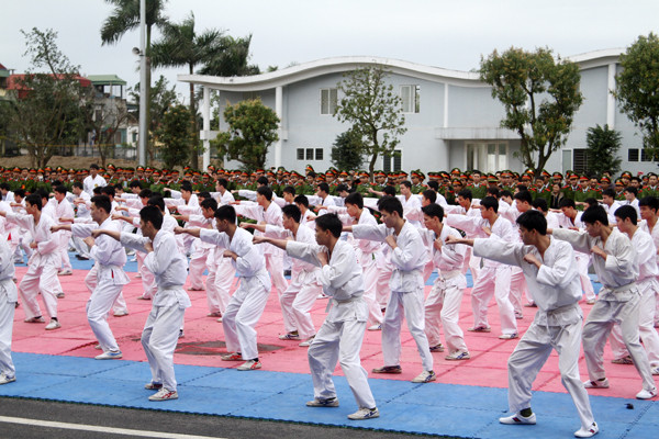 Các học viên biểu diễn các thế võ tổng hợp