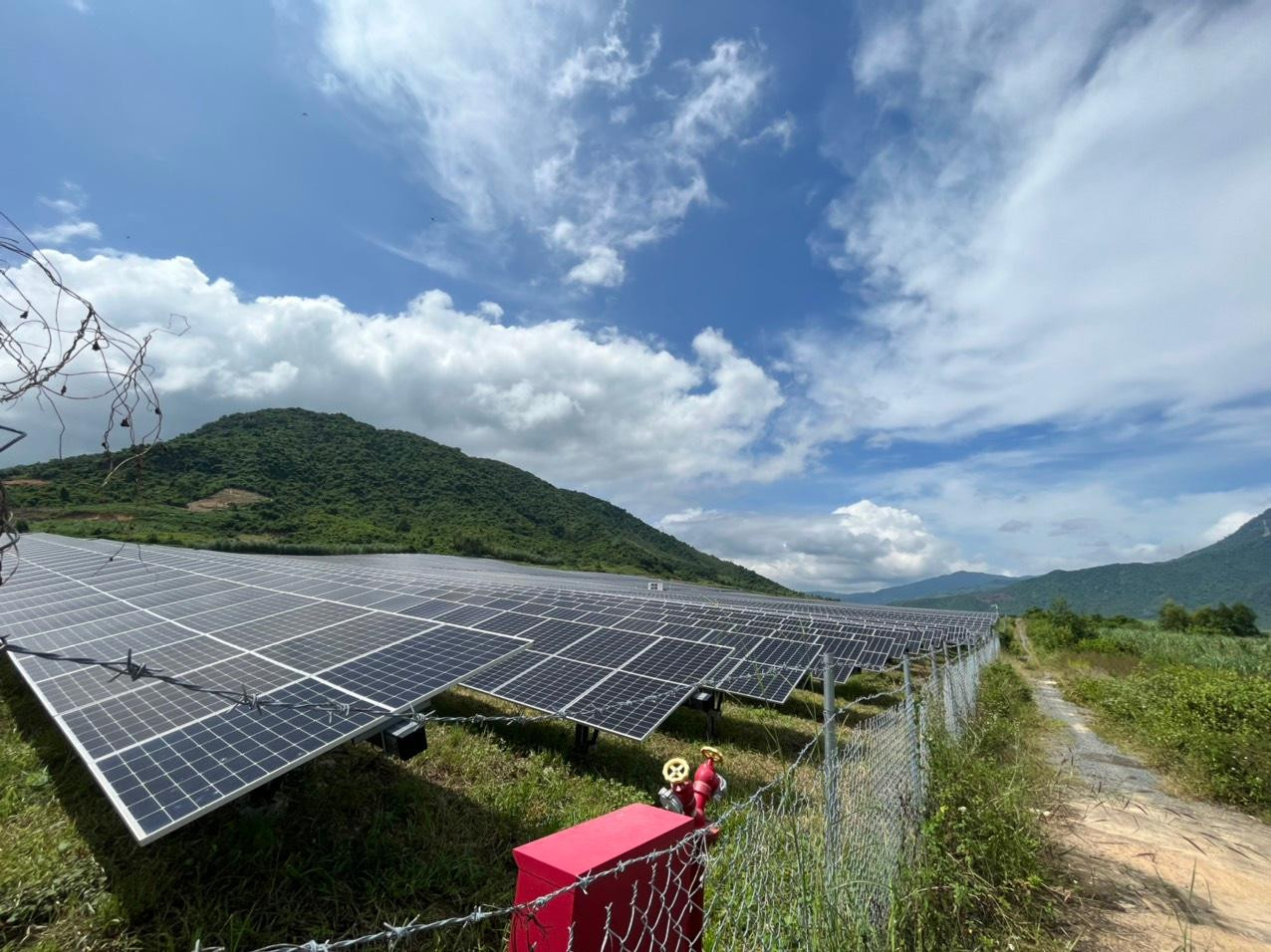 Dự án ĐMT Trung Sơn có một phần diện tích chồng lấn đất rừng Khánh Hòa. Ảnh: L.H.