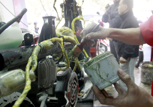 Bôi chất đuổi gián, chuột lên dây (Ảnh: Thanh Niên)