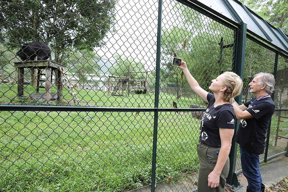 Các ngôi sao quốc tế rất thích thú với trải nghiệm này.