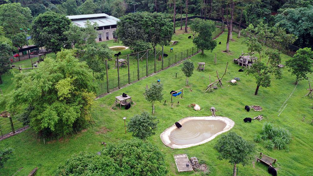 Khu nuôi dưỡng gấu bán tự nhiên tại Trung tâm cứu hộ gấu Việt Nam.