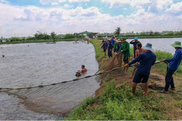 Hộ nuôi thắng lớn, nhờ sử dụng Sao Mai Super Feed