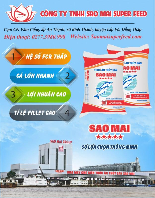 Sao Mai Super Feed sự lựa chọn thông minh của bà con