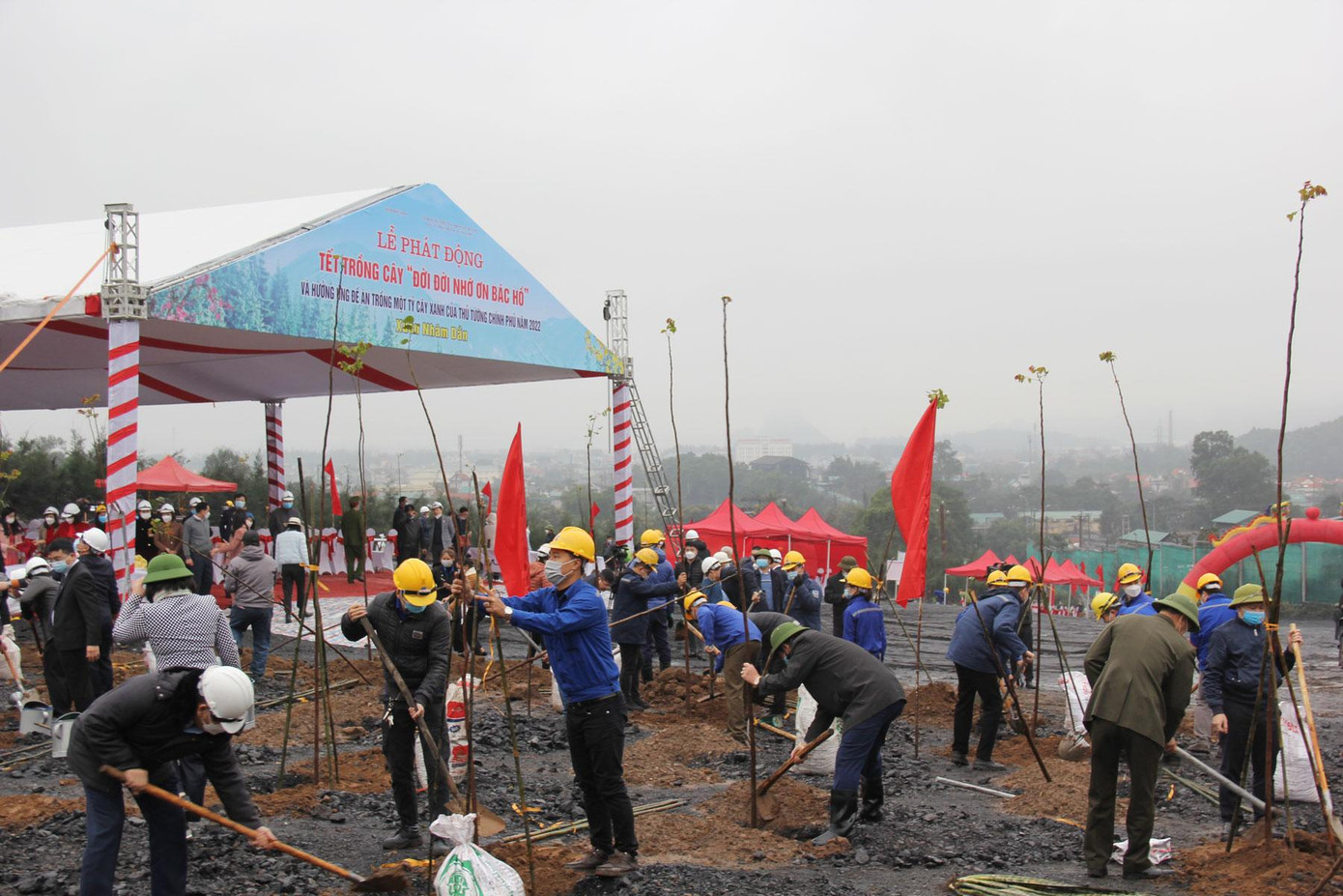 Tại Lễ phát động Tết trồng cây “Đời đời nhớ ơn Bác Hồ” Xuân Nhâm Dần 2022 có trên 1.000 cây xanh có giá trị được trồng.