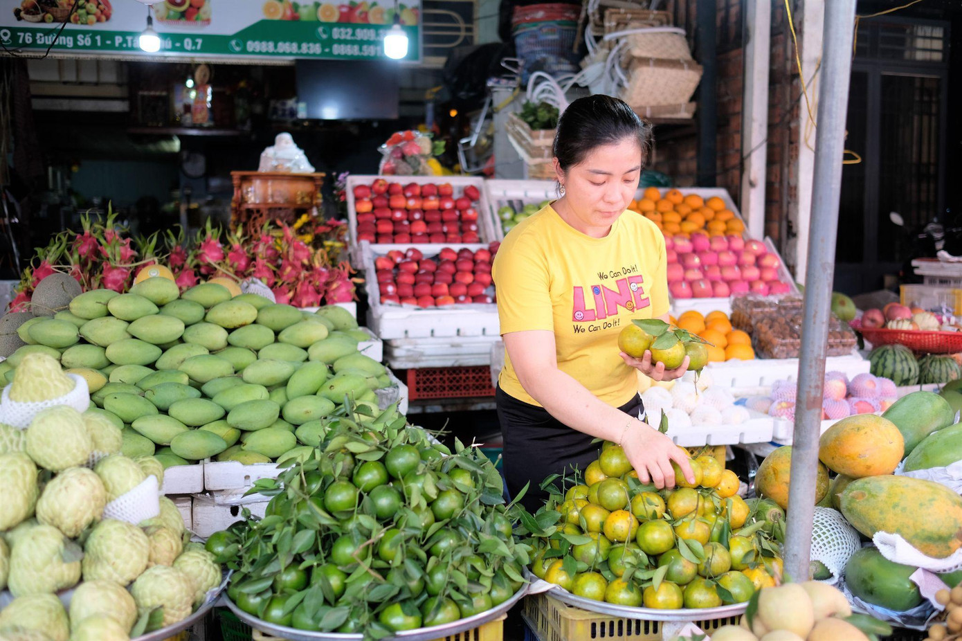 Sạp hàng online trên GrabMart của chị Ngọc Thanh (Trái cây Trí Thanh, chợ Tân Mỹ, quận 7) cung cấp đa dạng loại trái cây tươi ngon theo mùa Sạp hàng online trên GrabMart của chị Ngọc Thanh (Trái cây Trí Thanh, chợ Tân Mỹ, quận 7) cung cấp đa dạng loại trái cây tươi ngon theo mùa