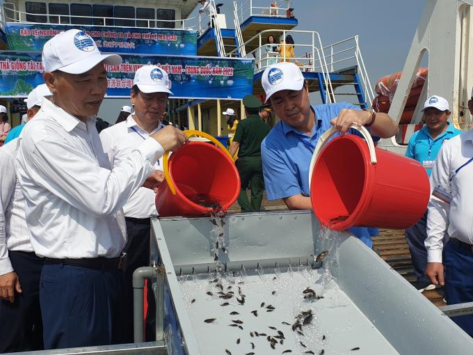 Hơn 8 triệu con giống thủy sản có giá trị kinh tế cao đã được thả xuống Vịnh Bắc Bộ.