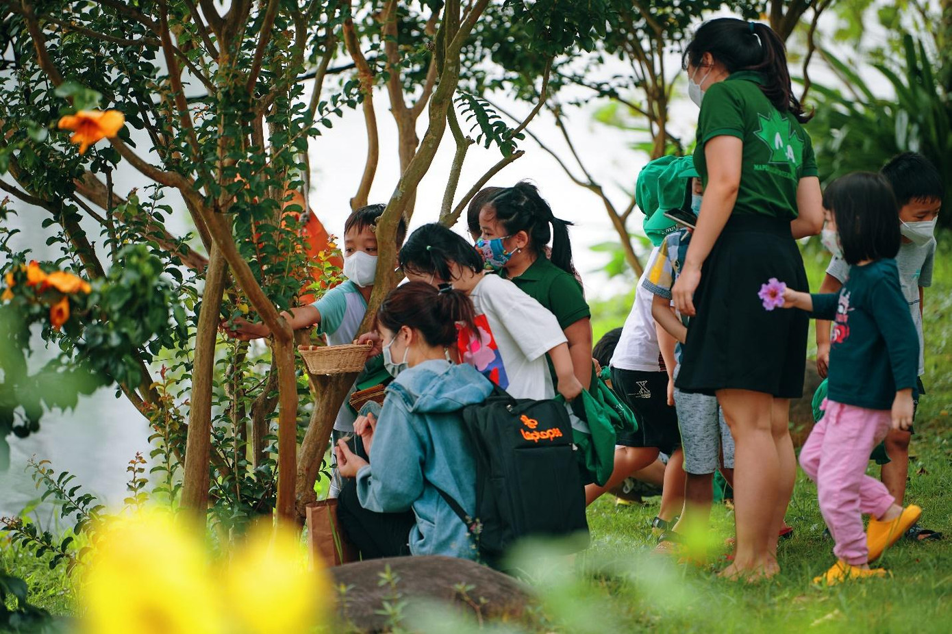 Trẻ em bắt ve trong công viên. Trẻ em bắt ve trong công viên.