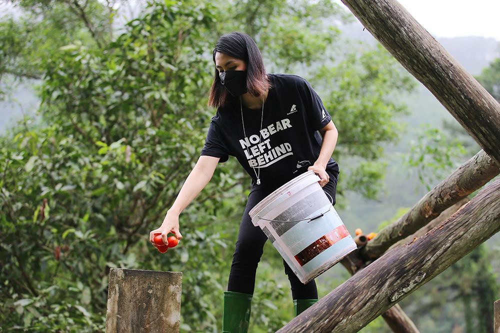 Các khách mời trải nghiệm cho gấu ăn bằng cách đặt đồ ăn của gấu vào những chỗ khuất trong khu nuôi dưỡng bán tự nhiên.