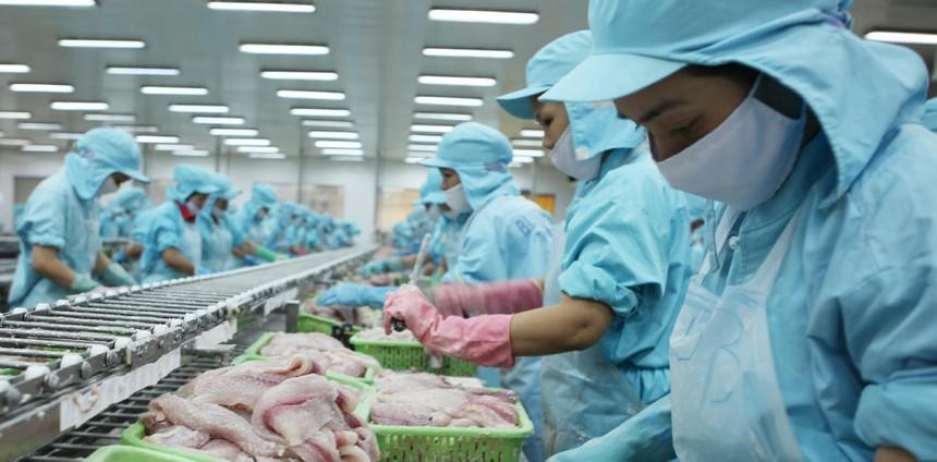 IDI hoạch định đa dạng thị trường