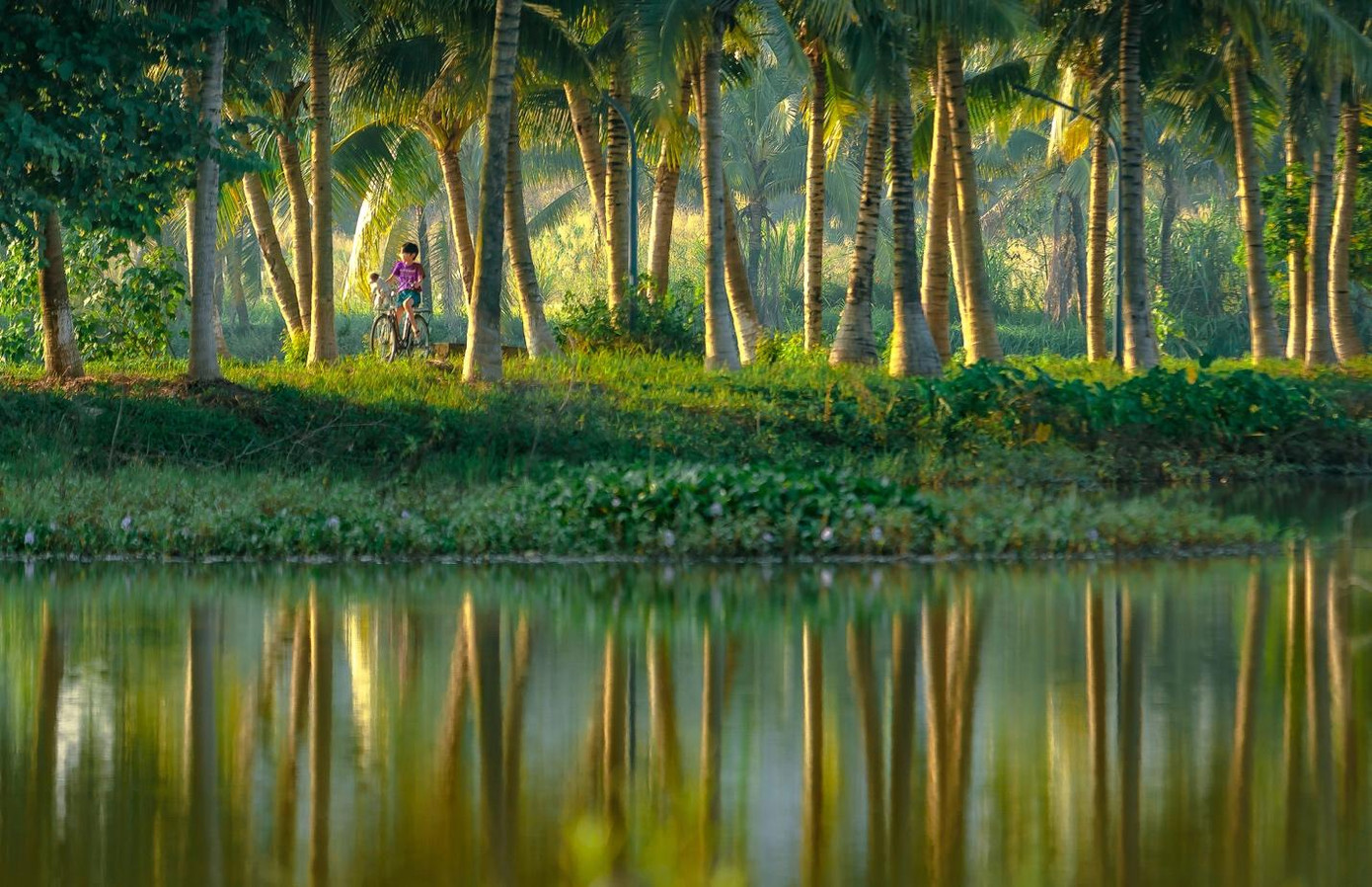 Không gian sống xanh giúp trẻ em vui vẻ hơn. Không gian sống xanh giúp trẻ em vui vẻ hơn.