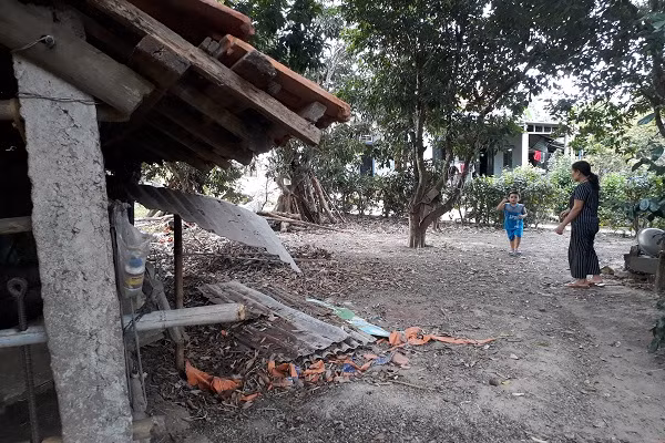 Hy hữu trộm xẻ thịt hai đùi sau bò đang mang thai ở Quảng Bình ảnh 3