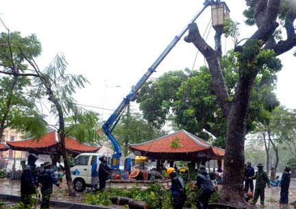 Cán bộ cty cây xanh cắt bớt cành cây ở khu vực trung tâm Hải Phòng đề phòng tai nạn