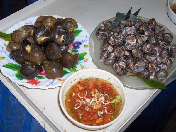 Ôc cung cấp một nguồn dinh dưỡng dồi dào cần thiết cho phụ nữ trong thai kỳ