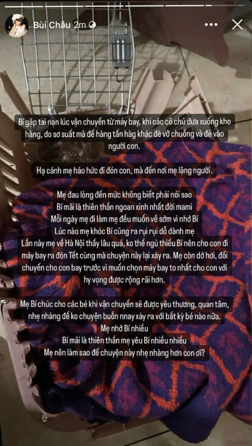 Châu Bùi đã không kìm được nước mắt sau sự ra đi của bé Bí - chú cún được Châu nuôi trong hơn 6 năm qua. Ảnh: Instagram nhân vật.