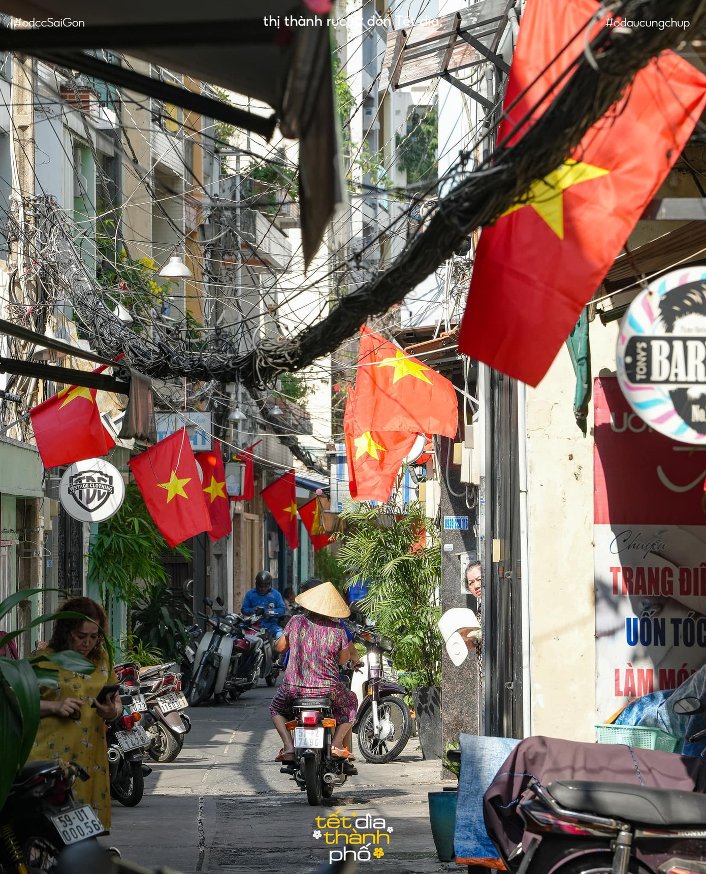 Hình ảnh rực rỡ khắp các con hẻm cũng là tín hiệu khiến Gen Z náo nức mỗi mùa Tết về. Ảnh tổng hợp từ nhiều nguồn