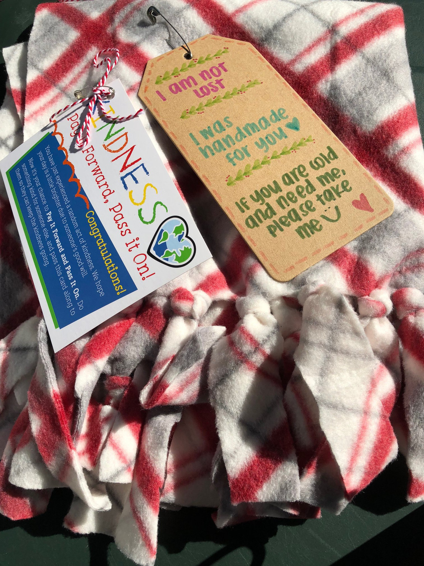 Bắt nguồn từ một hoạt động tình nguyện của các sinh viên đại học tại Ottawa, phong trào này lan rộng đến nhiều thành phố khác ở Mỹ và Canada. Bắt nguồn từ một hoạt động tình nguyện của các sinh viên đại học tại Ottawa, phong trào này lan rộng đến nhiều thành phố khác ở Mỹ và Canada.