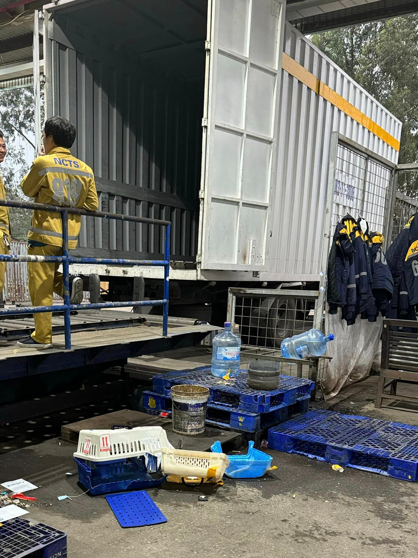 Sau khi đến nhà kho, Châu Bùi nhận thấy lồng của Bí đã biến dạng do bị đè nặng, bản thân Bí do không thể nào thoát khỏi lồng nên đã không qua khỏi.