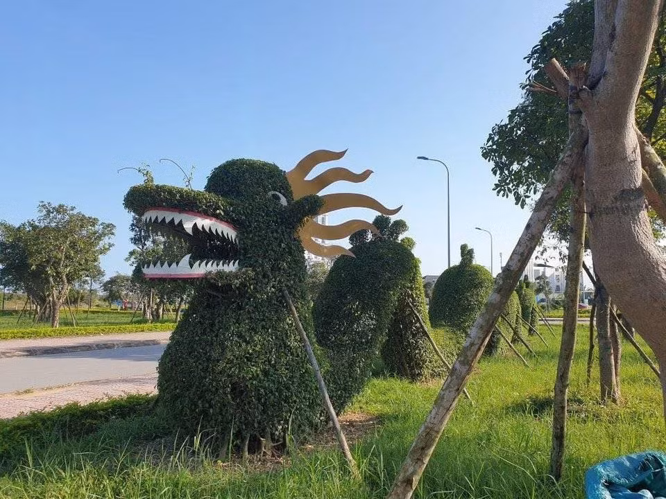 Hình ảnh Rồng Quảng Bình và Rồng Thanh Hóa có ngoại hình tương phản. Hình ảnh Rồng Quảng Bình và Rồng Thanh Hóa có ngoại hình tương phản.