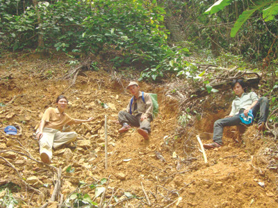 Vất vả xới tung cả cánh rừng để mưu sinh và hy vọng đổi đời. Vất vả xới tung cả cánh rừng để mưu sinh và hy vọng đổi đời