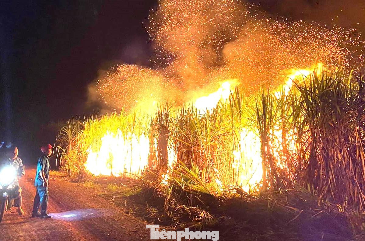 Người dân phát hiện vụ cháy nhưng không thể làm gì vì lửa bùng phát mạnh Người dân phát hiện vụ cháy nhưng không thể làm gì vì lửa bùng phát mạnh