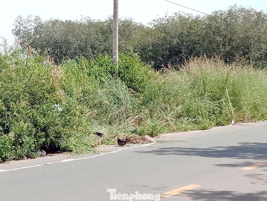 Nam thanh niên tử vong cạnh chiếc xe máy bên đường Nam thanh niên tử vong cạnh chiếc xe máy bên đường