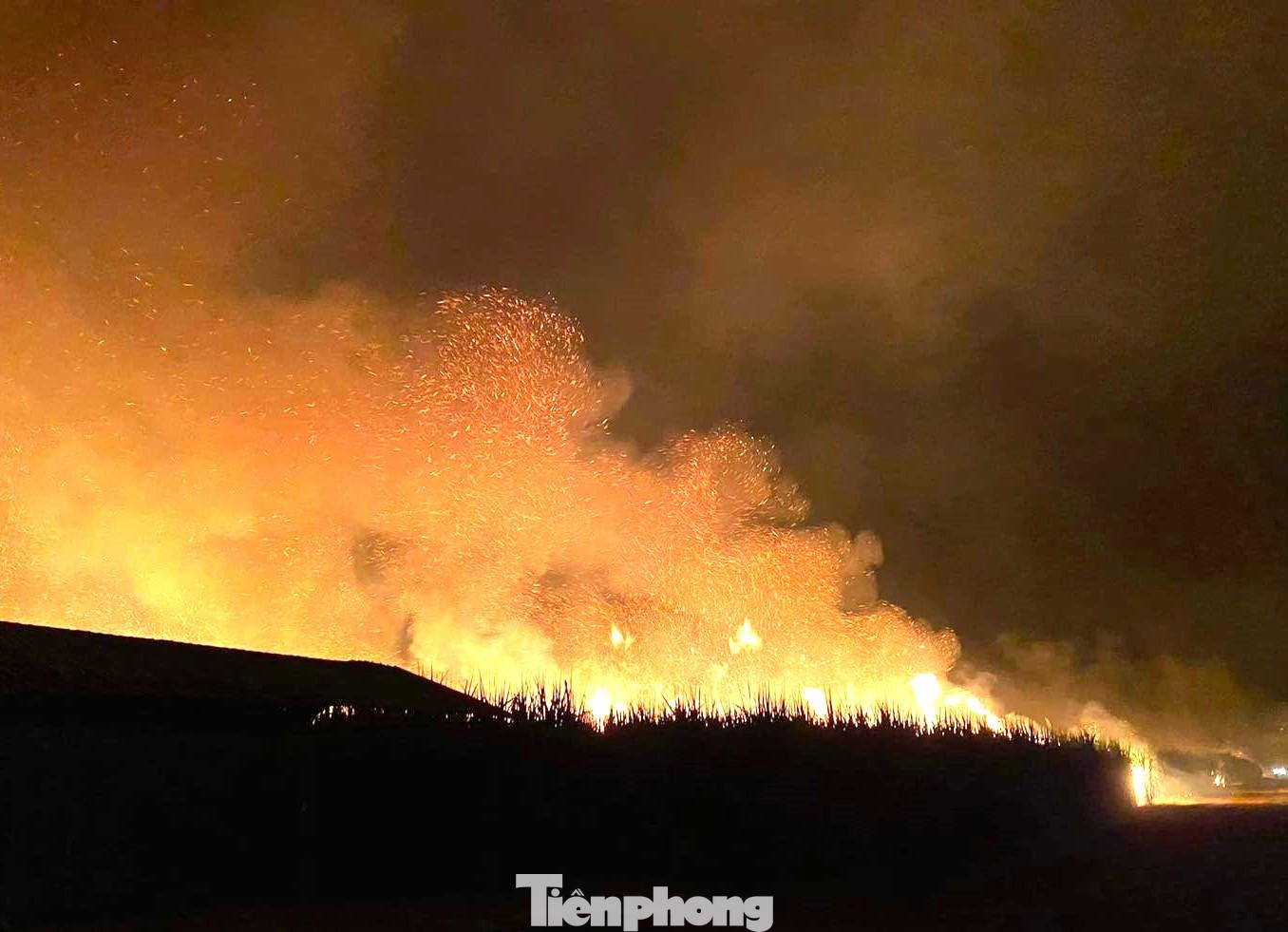 Lửa bao trùm vườn mía Lửa bao trùm vườn mía