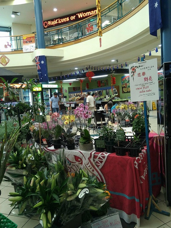 Du học sinh Việt rộn ràng đón Tết ảnh 4